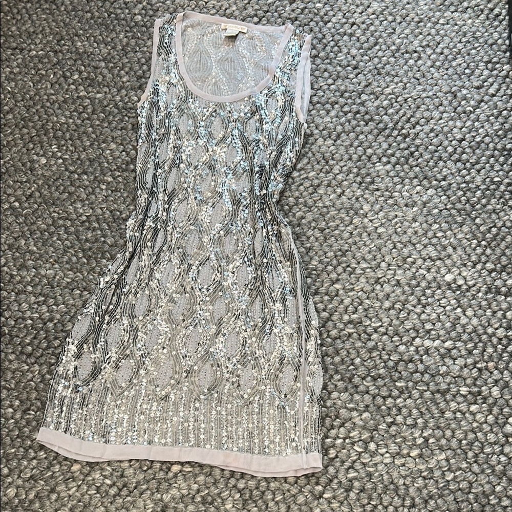 Gold Hawk 100% Silk Silver Sequin Dress Size Medium